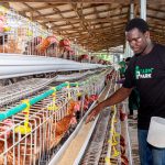 Why Agriculture Is Africa’s Greatest Untapped Investment Opportunity.